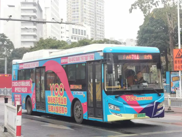 800BUS