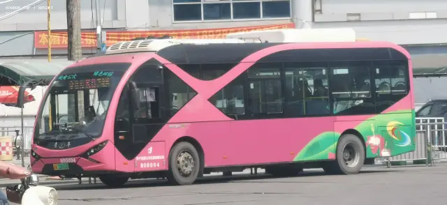 800BUS