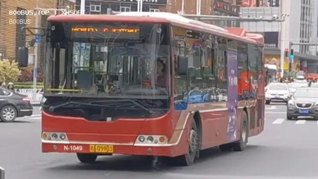 800BUS