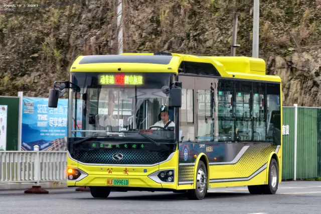 800BUS