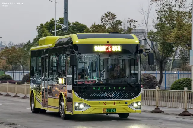 800BUS