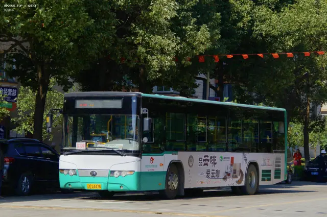 800BUS