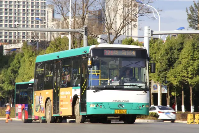 800BUS