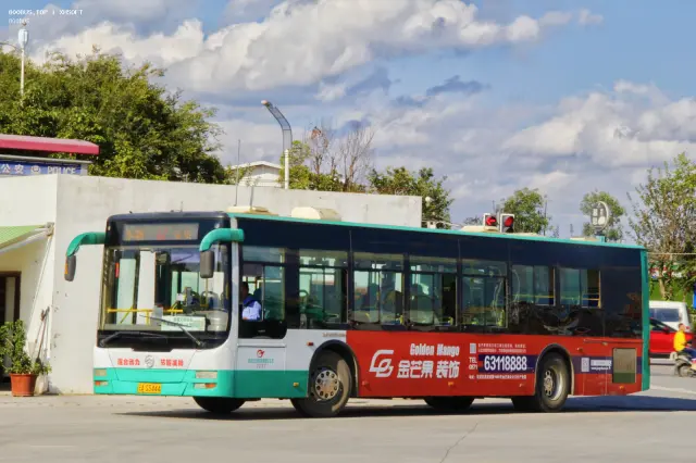 800BUS