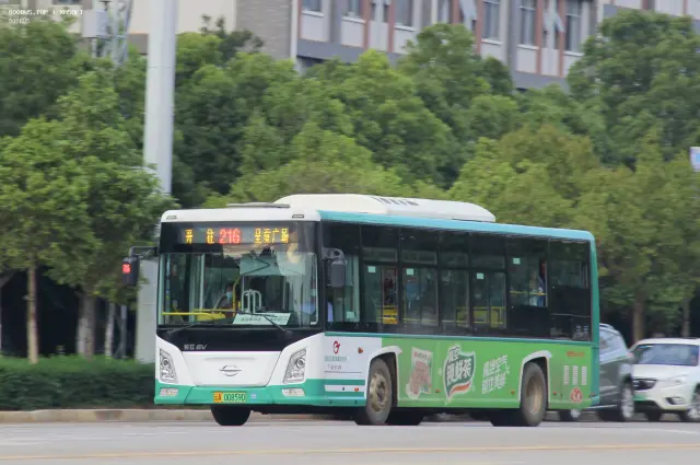 800BUS