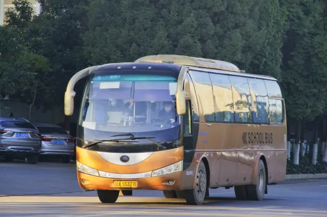800BUS