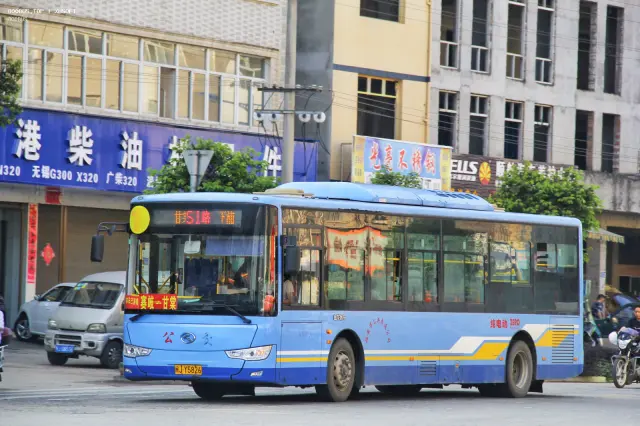 800BUS