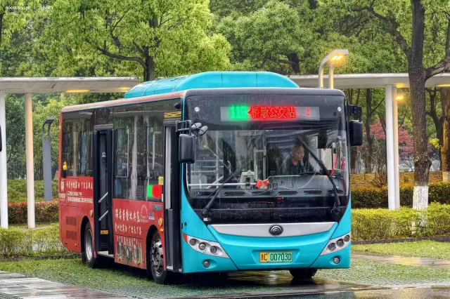 800BUS