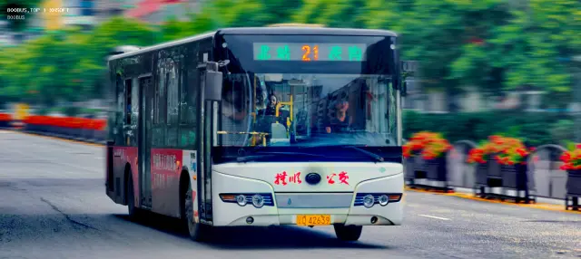 800BUS