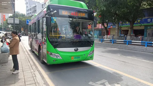 800BUS
