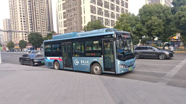 800BUS