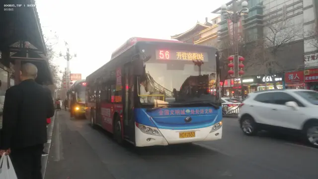800BUS