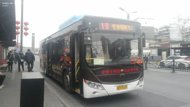 800BUS