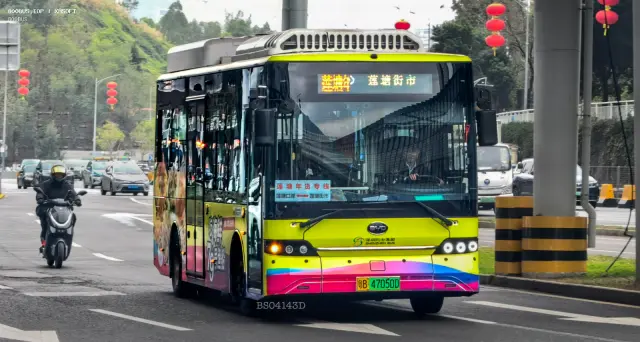 800BUS