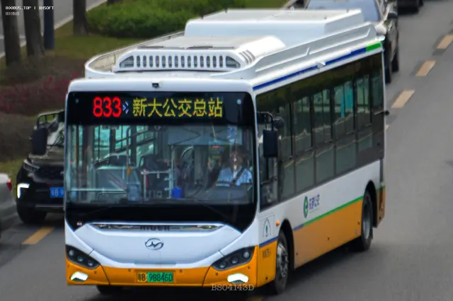 800BUS