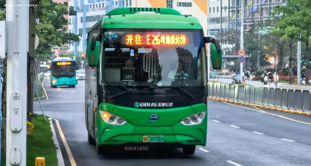 800BUS