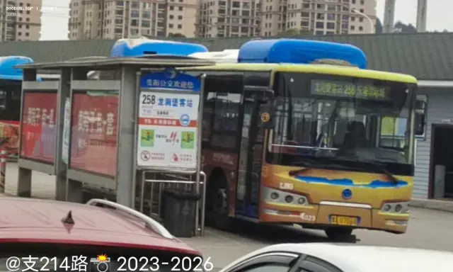 800BUS