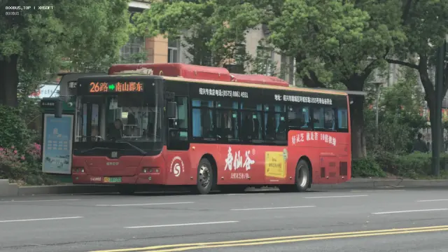 800BUS