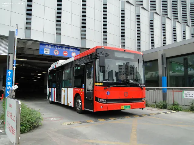 800BUS