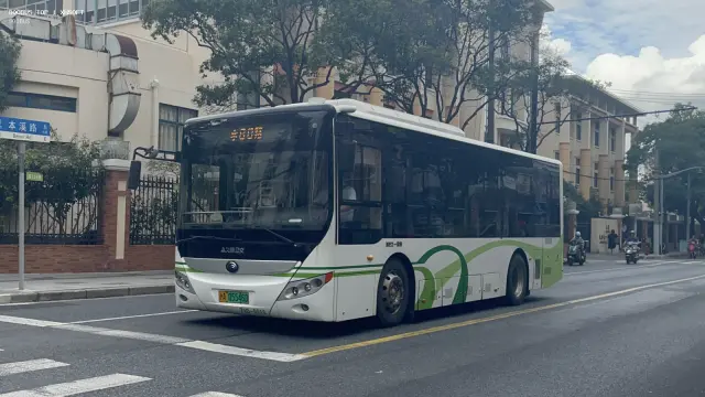 800BUS
