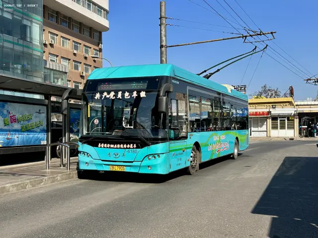 800BUS