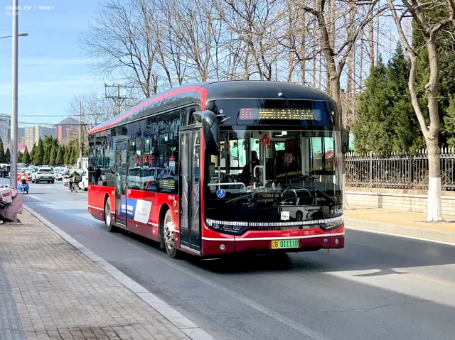 800BUS