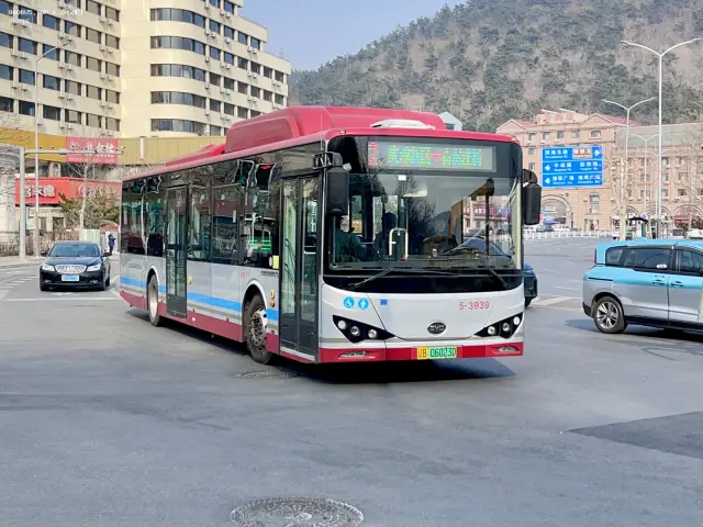800BUS