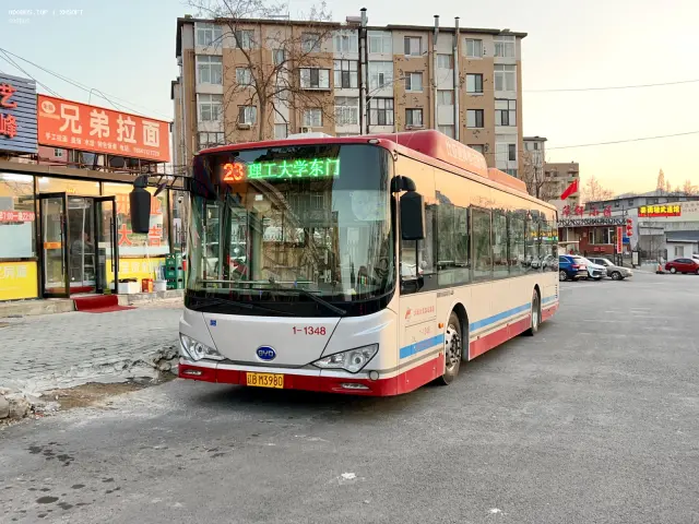 800BUS