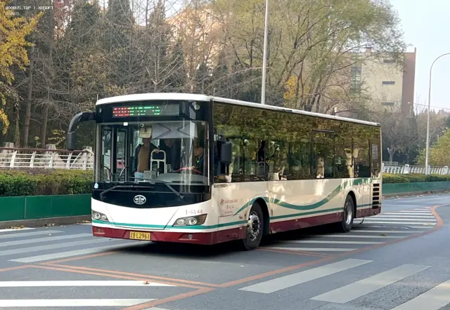 800BUS
