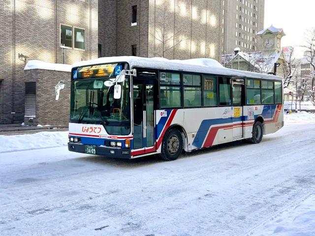 800BUS