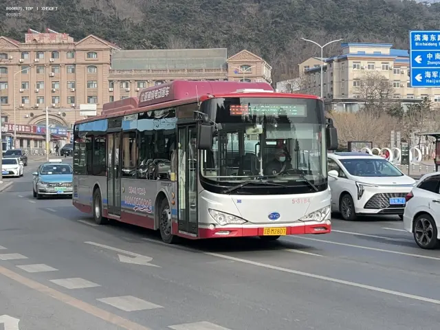 800BUS