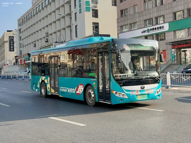 800BUS