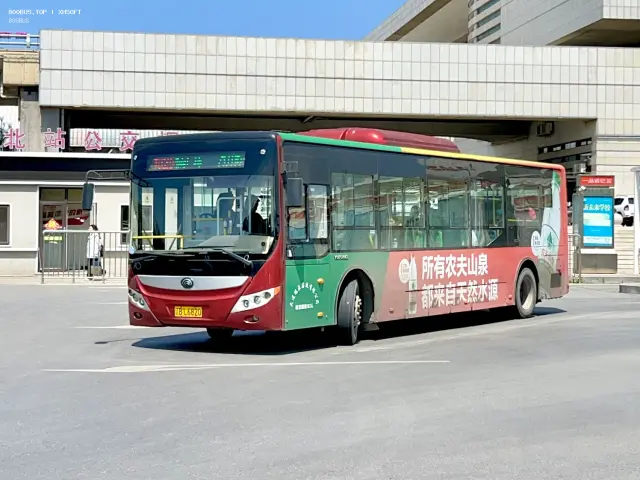800BUS