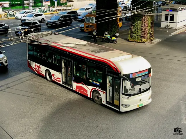 800BUS