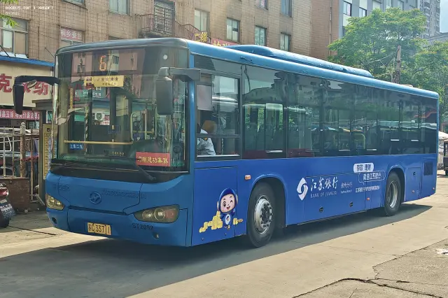 800BUS