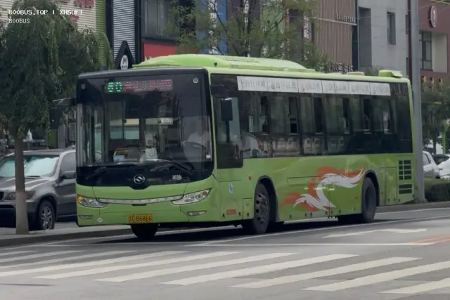 800BUS