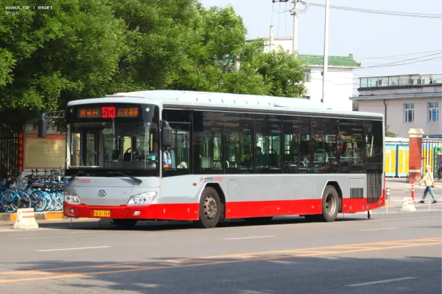 800BUS