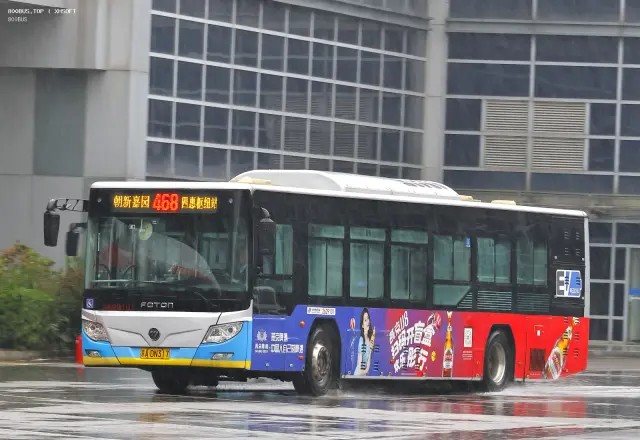 800BUS