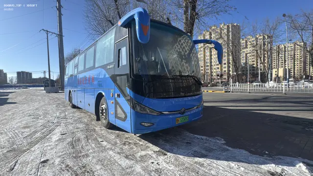 800BUS