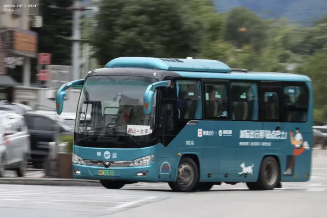 800BUS