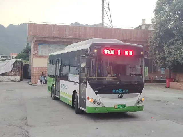 800BUS