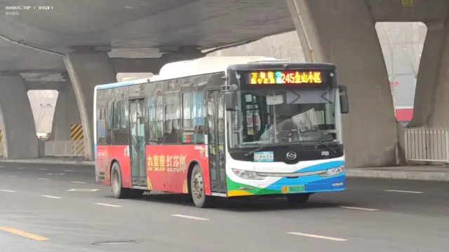 800BUS