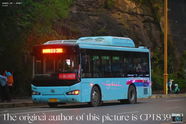 800BUS