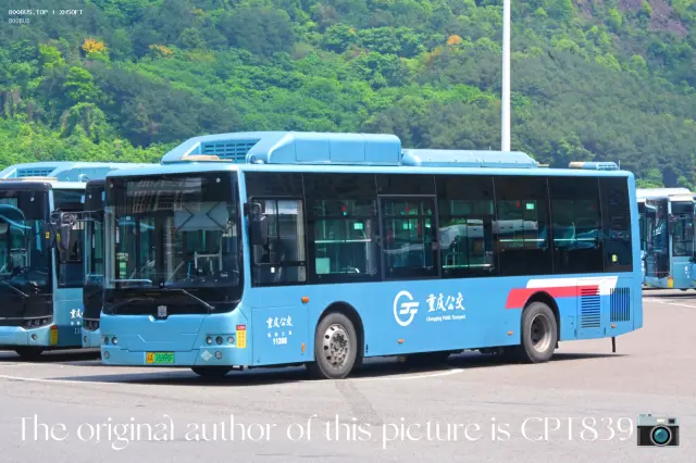 800BUS