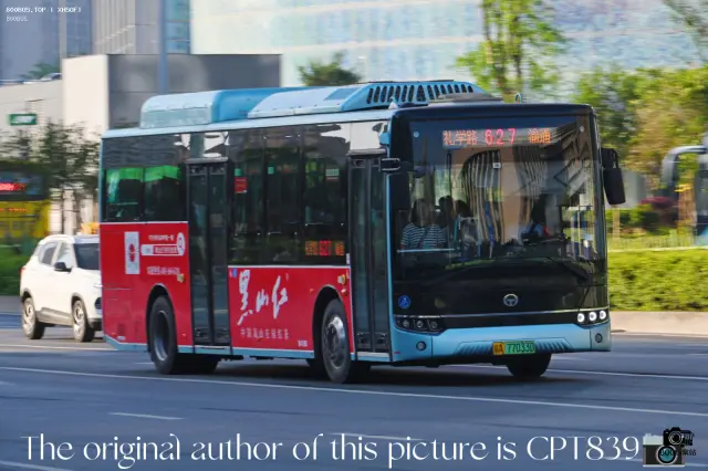 800BUS