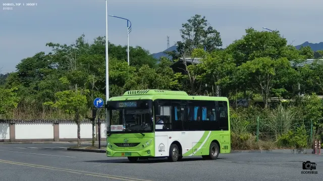 800BUS