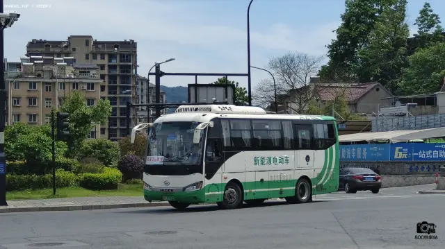 800BUS