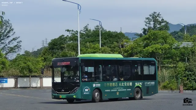 800BUS