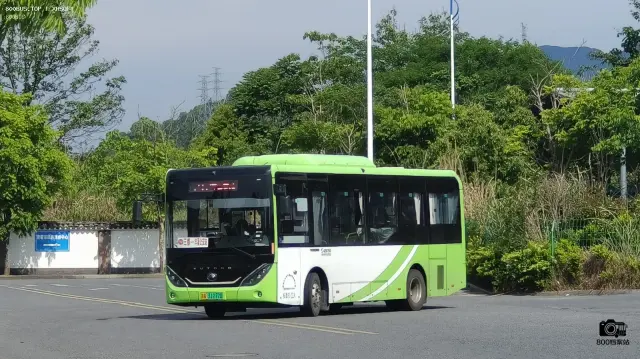 800BUS