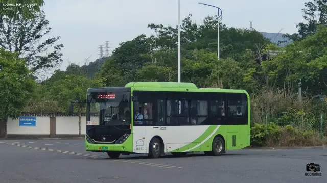 800BUS